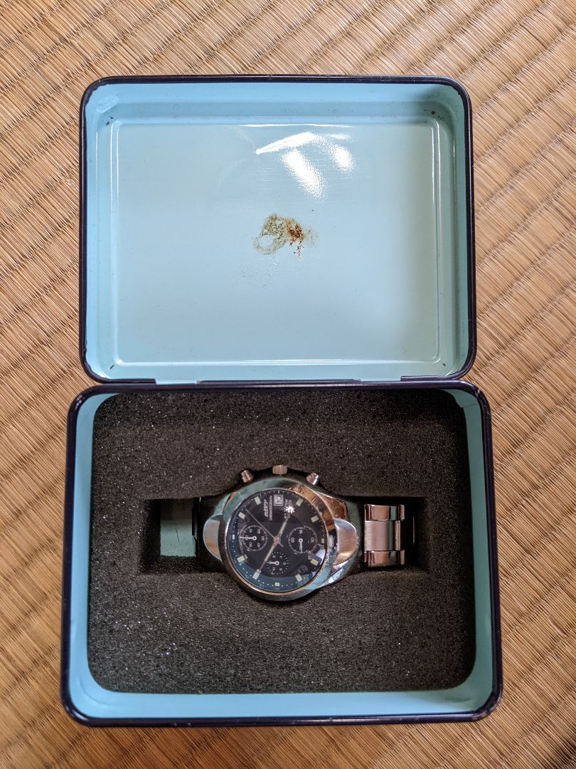 Citizen GN-4-S Analog Quartz Women
