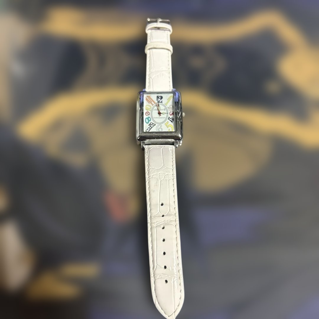 Franck Muller Analog Mechanical (Automatic) Men