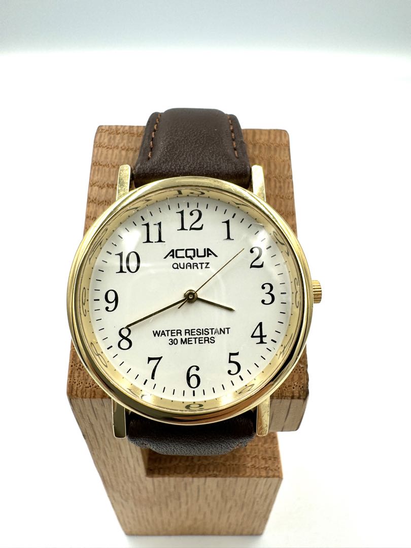 Acqua Analog Quartz Men Watch