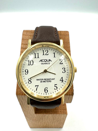 Acqua Analog Quartz Men Watch