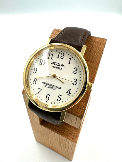 Acqua Analog Quartz Men Watch