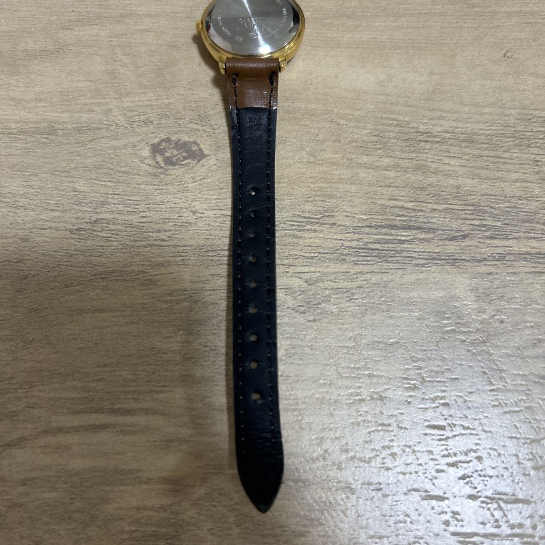 Seiko Alba Disney V501-6N10 Analog Mechanical (Manual) Women