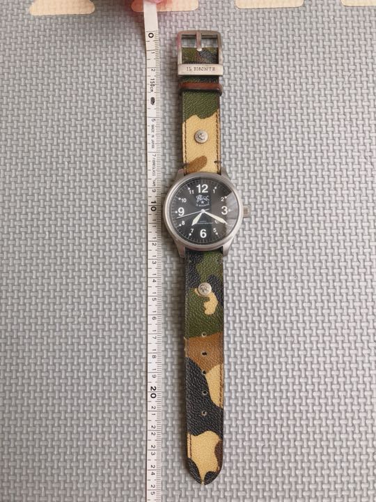 IL BISONTE Analog Quartz Women