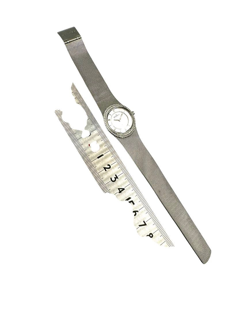 Skagen Analog Quartz Women Watch Steel