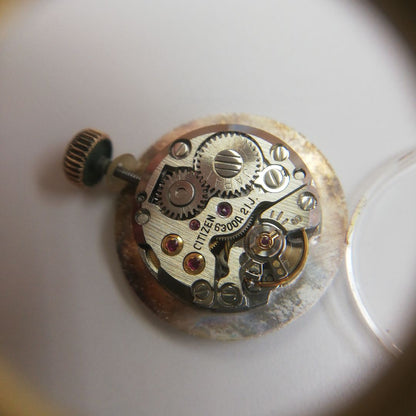 Citizen Analog Mechanical (Manual) Women