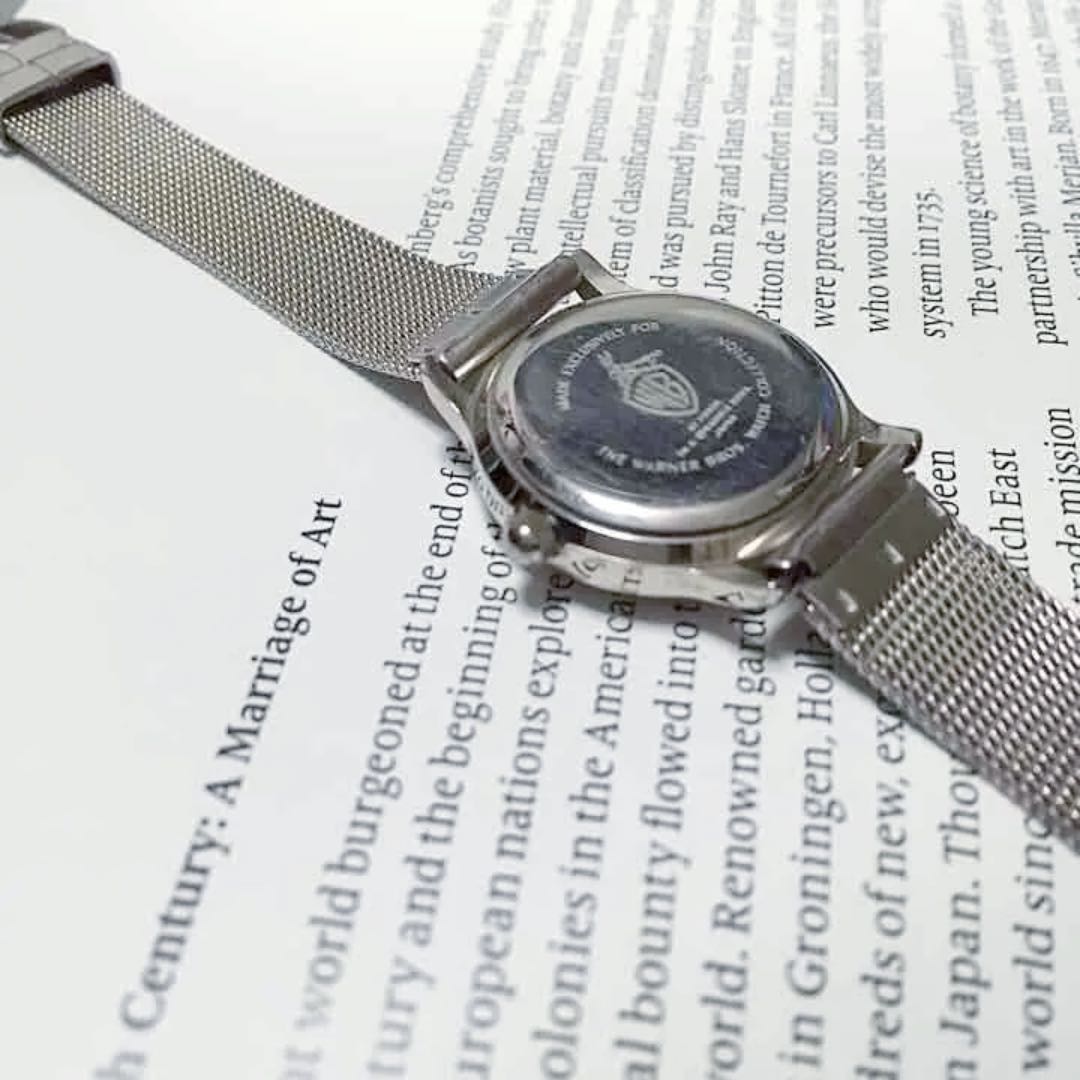 Warner Bros. Analog Quartz Women
