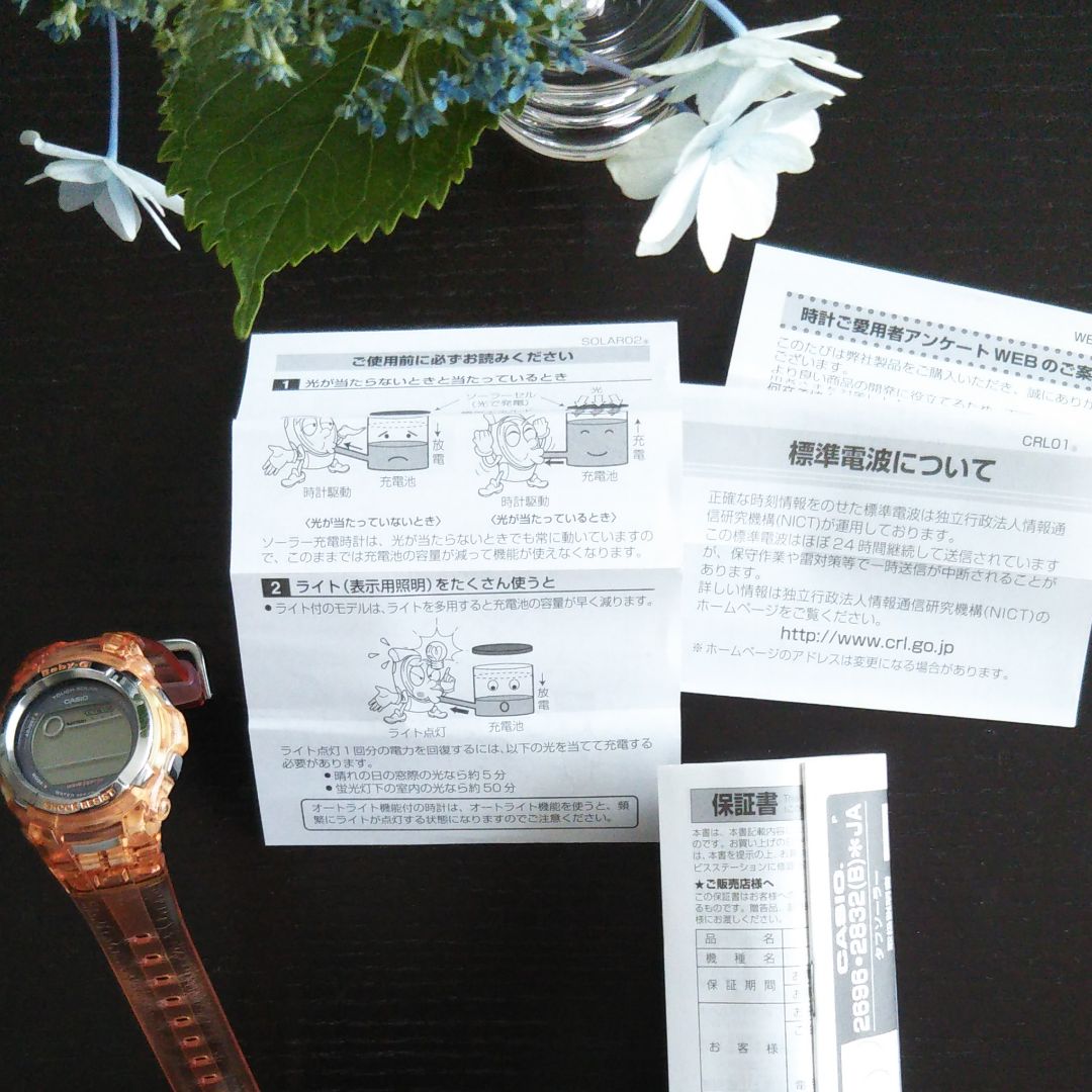 G-shock Baby-G BGT-2502 Analog Quartz Women