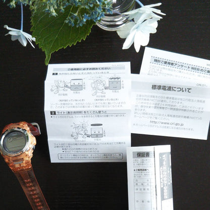 G-shock Baby-G BGT-2502 Analog Quartz Women