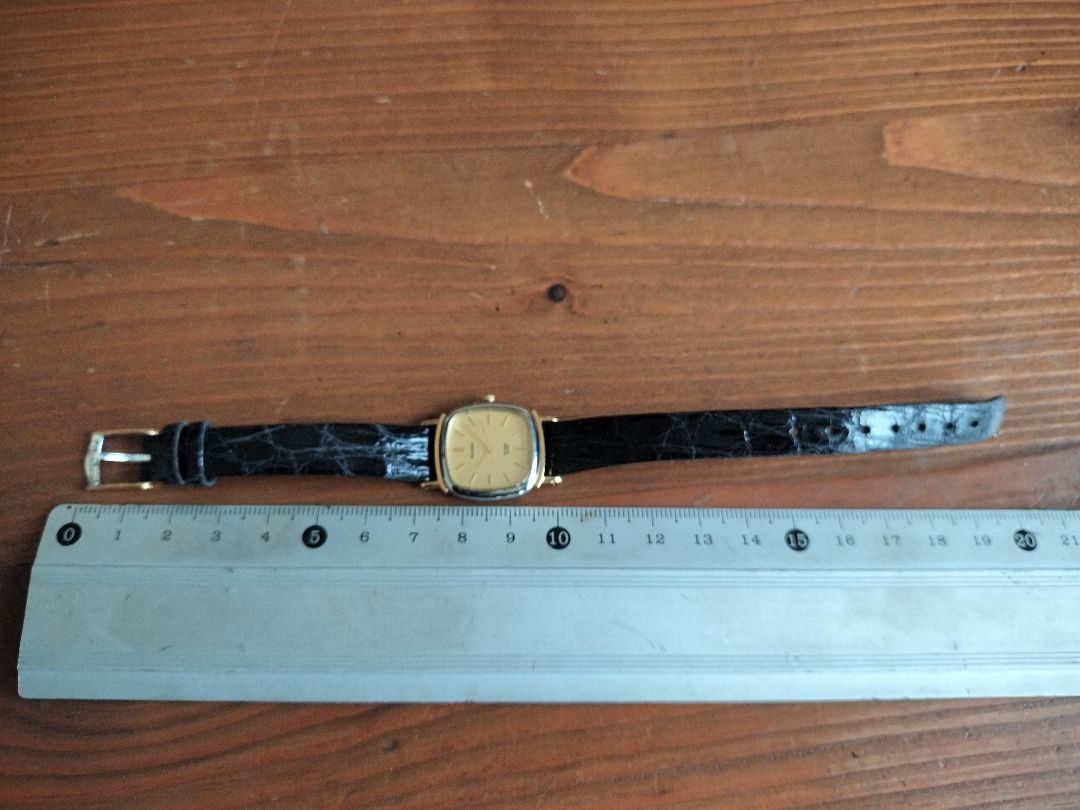 Citizen EXCEED Analog Mechanical (Manual) Women