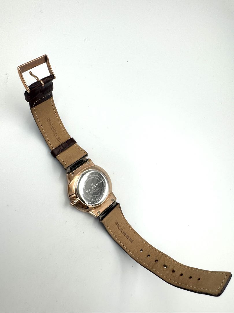 Skagen Analog Quartz Men Chronograph Watch