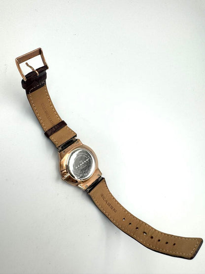 Skagen Analog Quartz Men Chronograph Watch