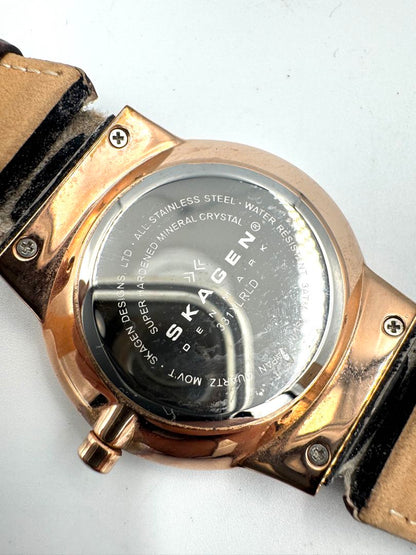 Skagen Analog Quartz Men Chronograph Watch