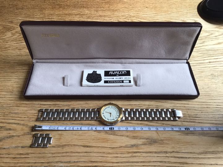 Citizen Waldo Analog Quartz Men