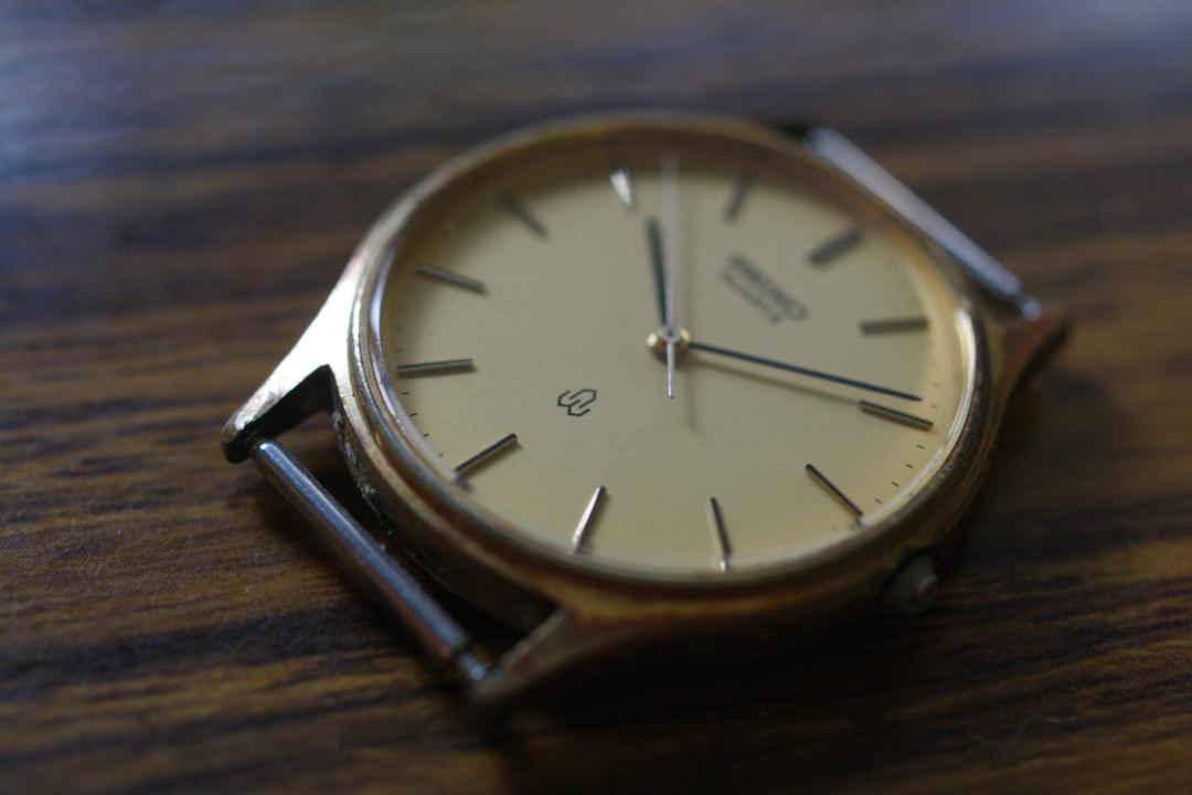 Seiko Analog Quartz Men