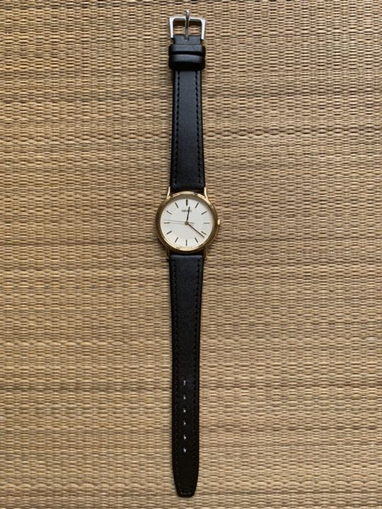 Seiko Analog Quartz Men