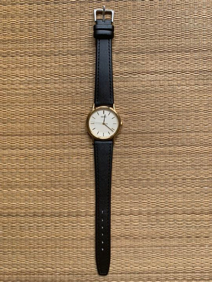 Seiko Analog Quartz Men