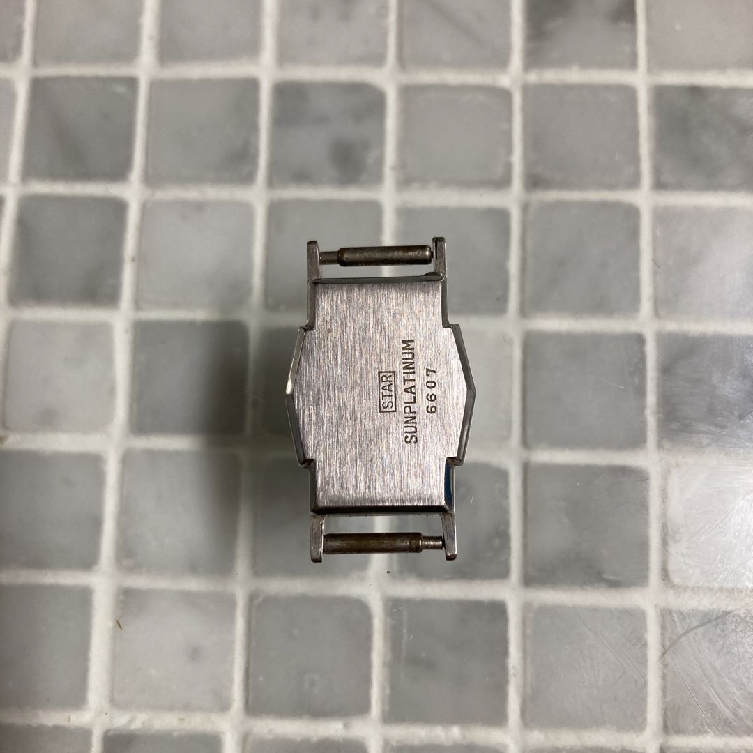 Citizen Pet Analog Mechanical (Manual) Women