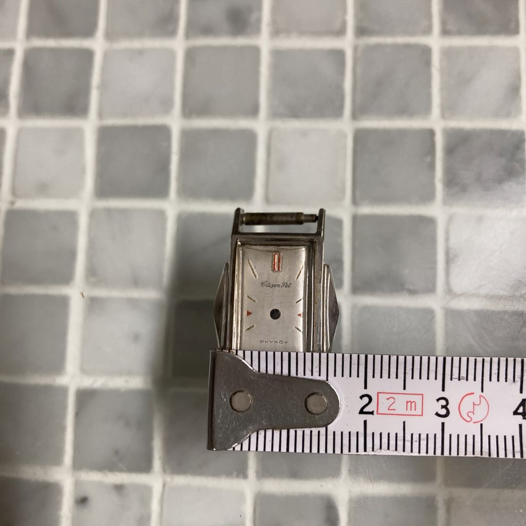 Citizen Pet Analog Mechanical (Manual) Women