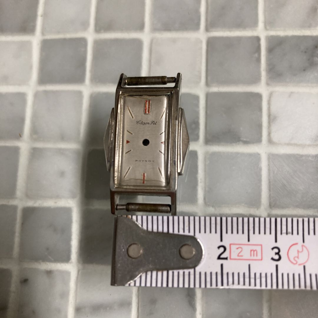 Citizen Pet Analog Mechanical (Manual) Women