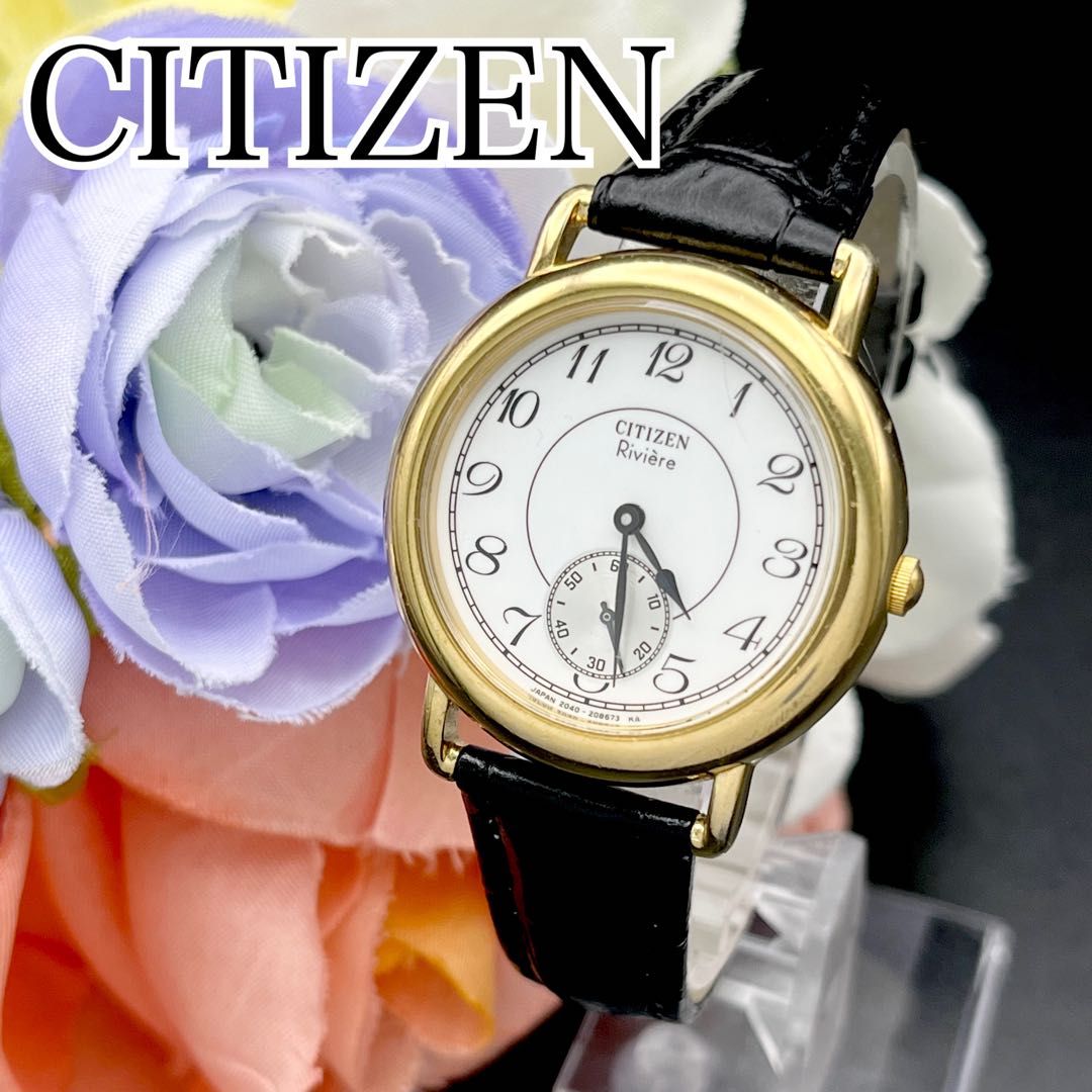 Citizen Riviere Analog Quartz Men