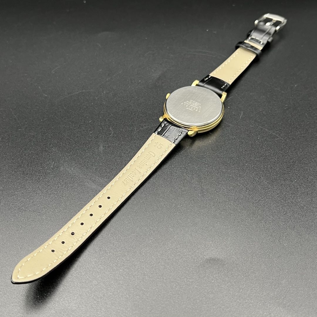 Citizen Riviere Analog Quartz Men
