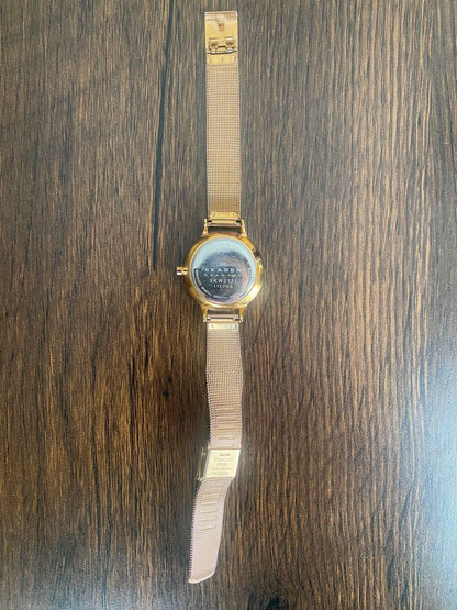 Skagen SKW2151 Analog Quartz Women