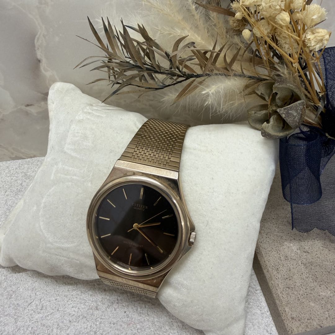 Citizen Analog Quartz Men