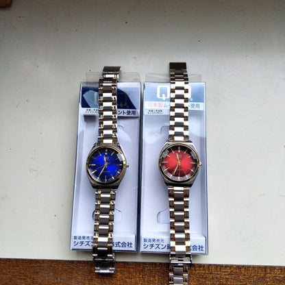 Citizen Q&q Analog Quartz Women
