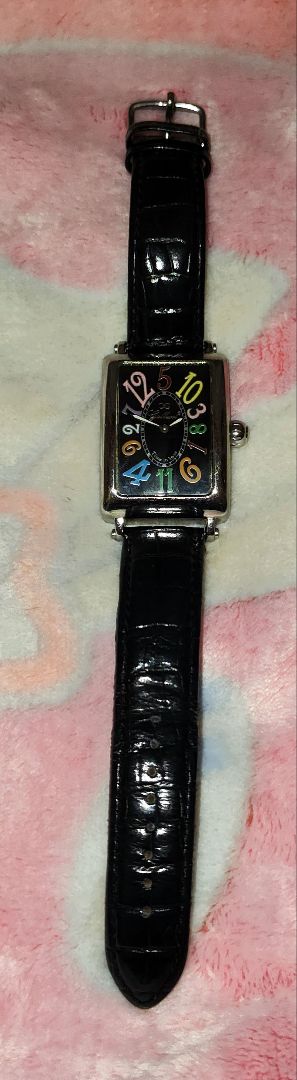 Gallucci Analog Mechanical (Automatic) Men