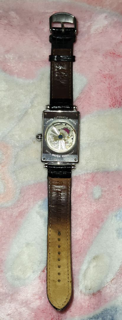 Gallucci Analog Mechanical (Automatic) Men