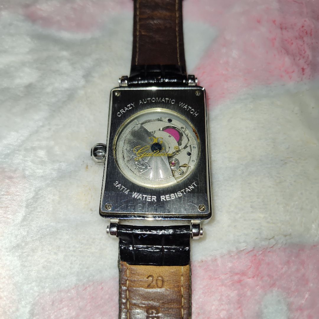 Gallucci Analog Mechanical (Automatic) Men