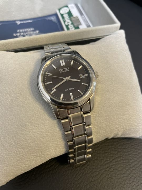 Citizen Analog Quartz Men
