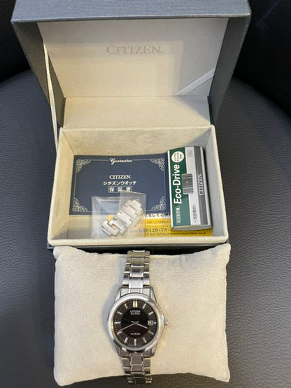 Citizen Analog Quartz Men