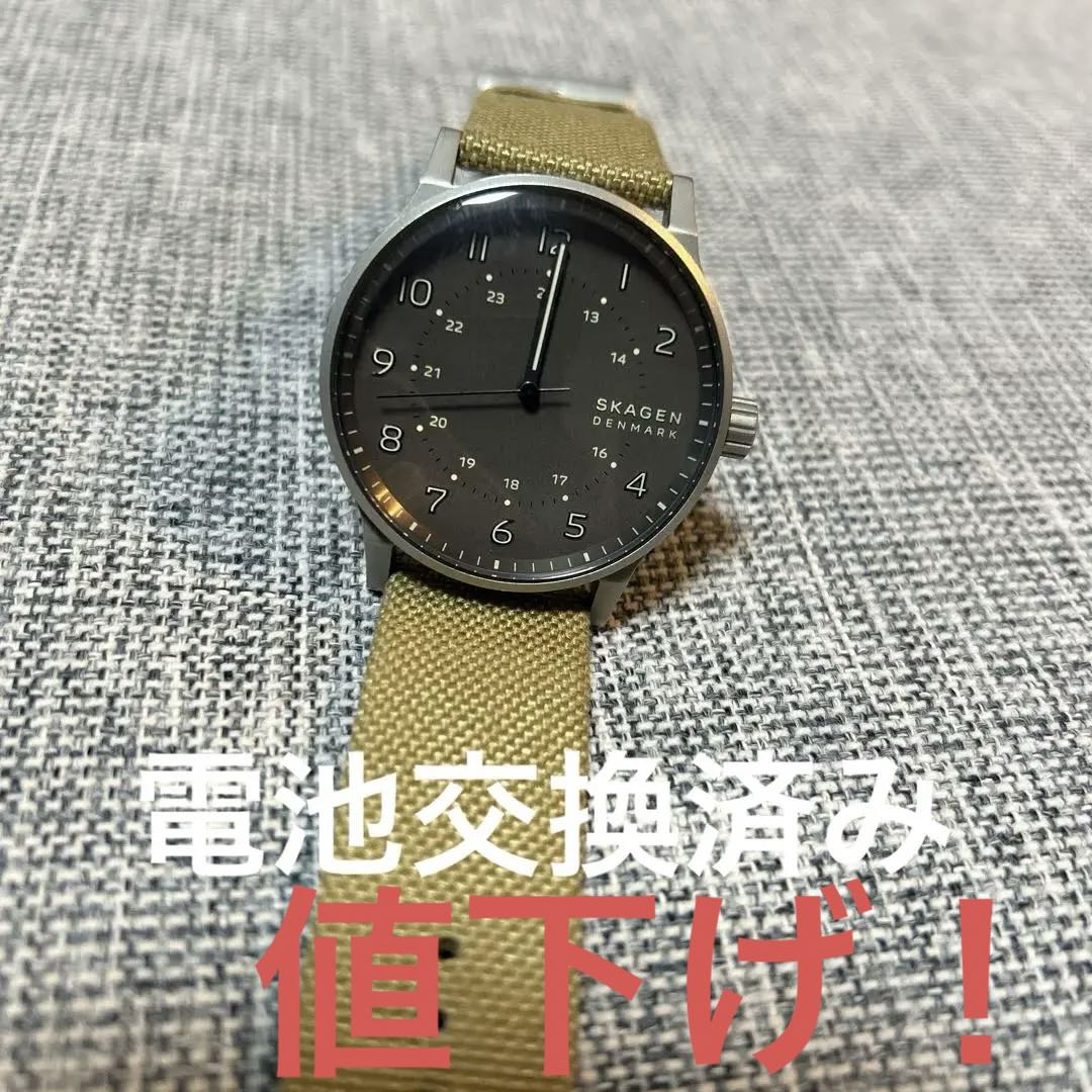 Skagen Analog Quartz Men
