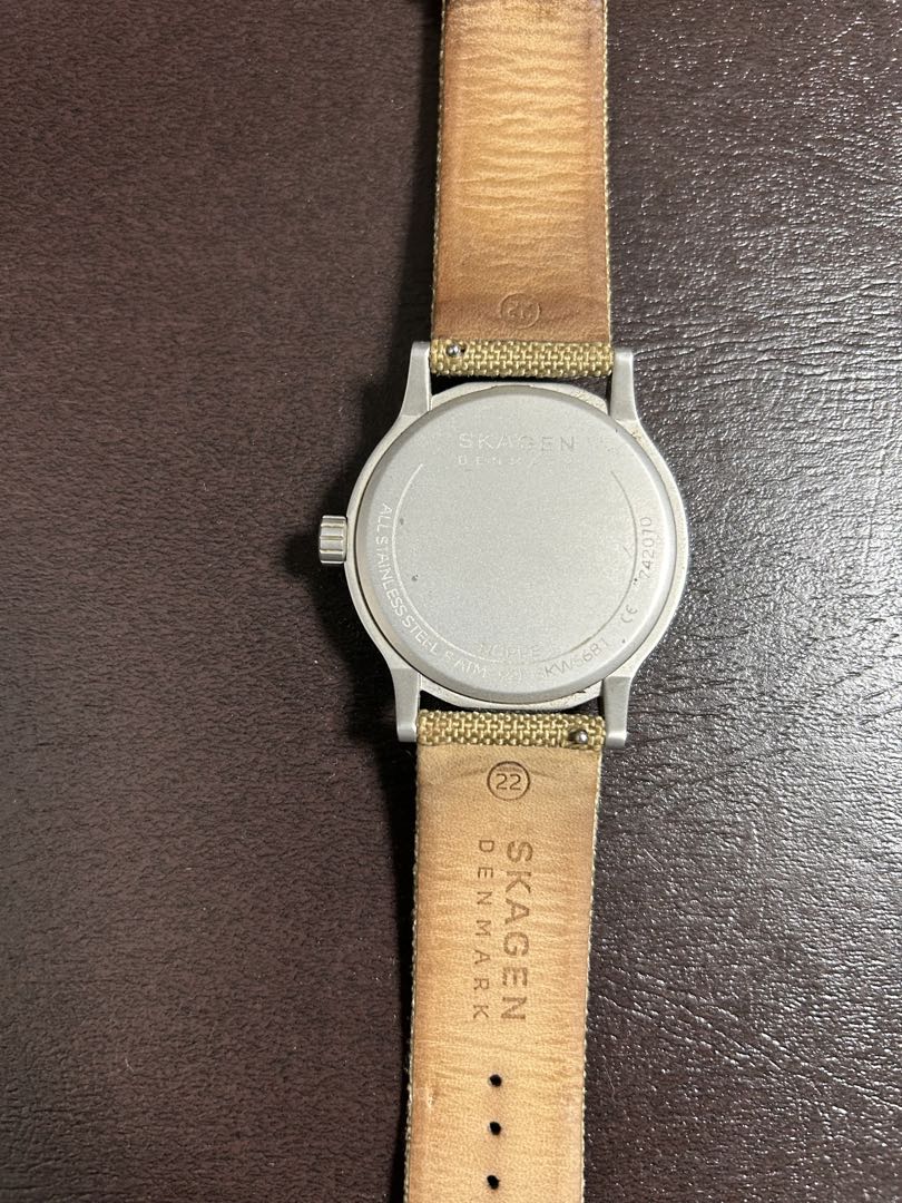 Skagen Analog Quartz Men