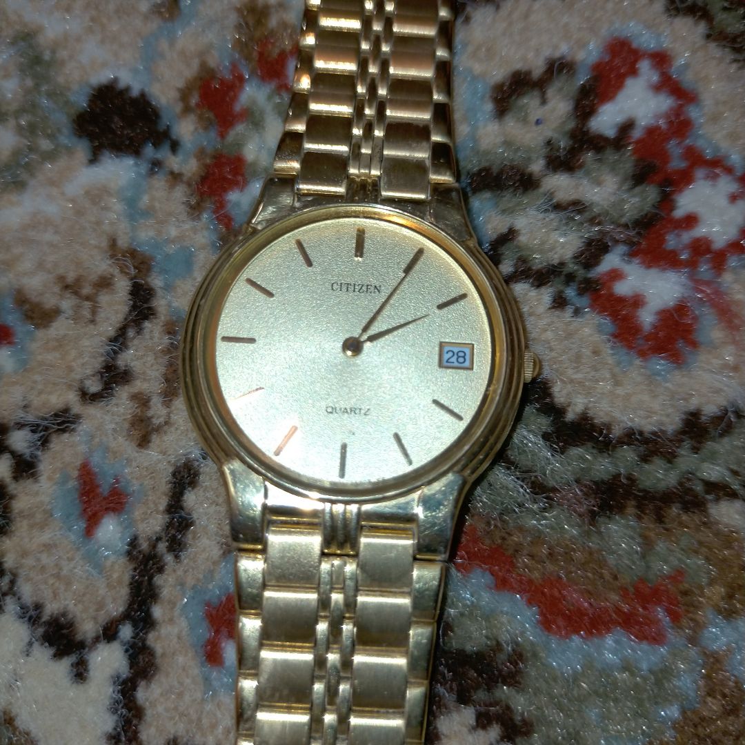 Citizen Analog Quartz Men