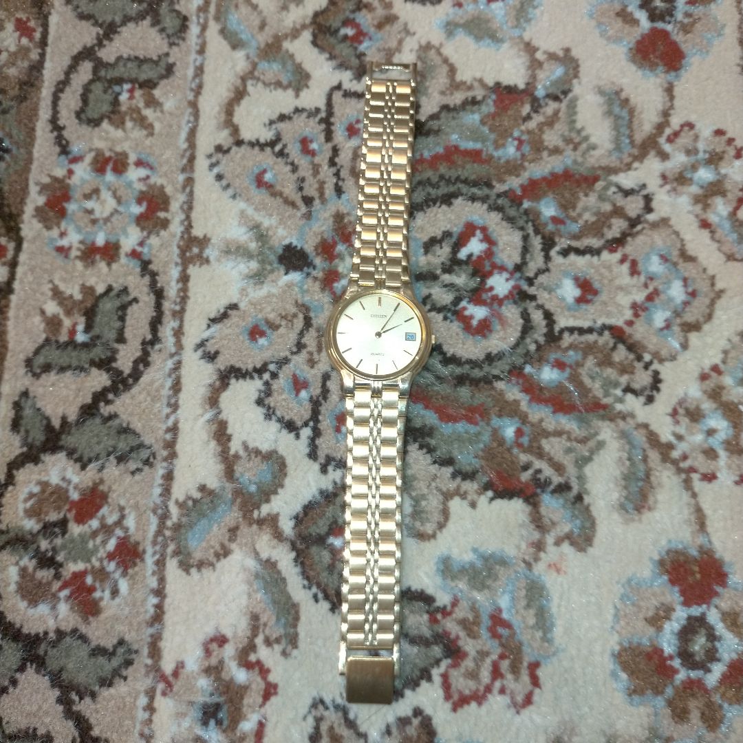 Citizen Analog Quartz Men