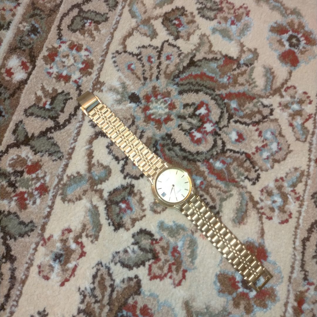 Citizen Analog Quartz Men