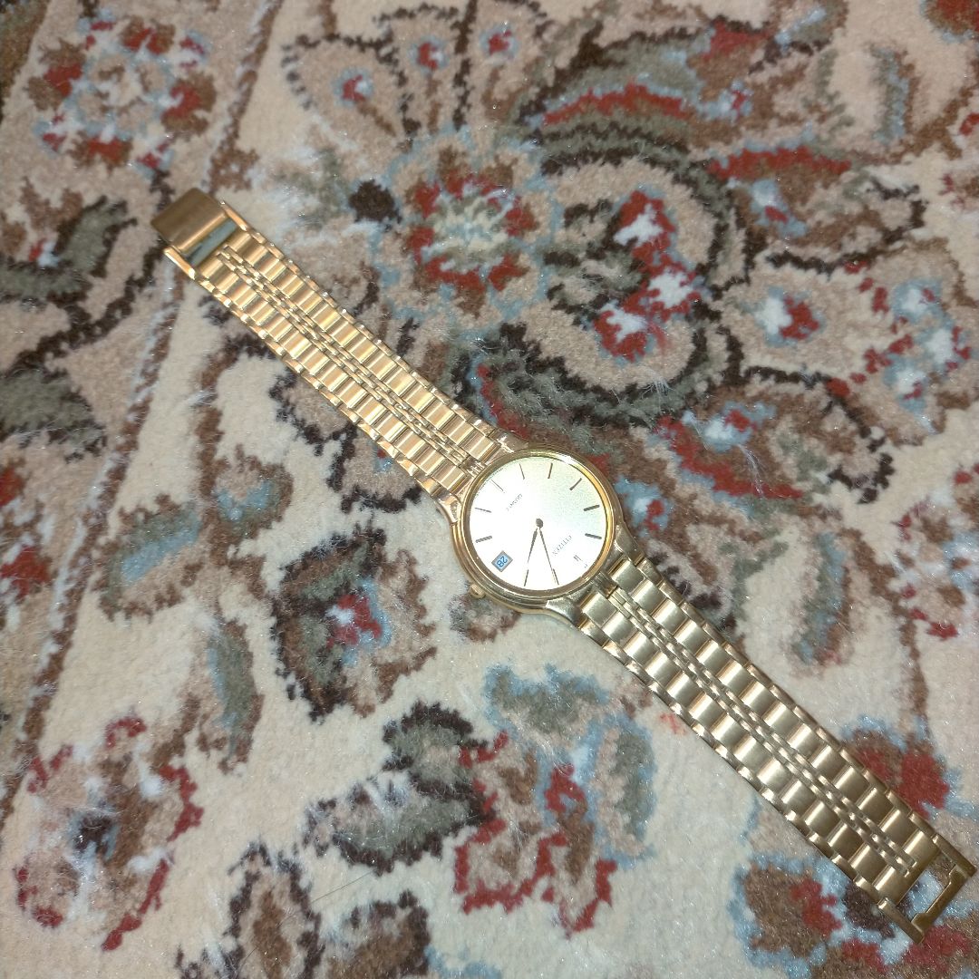 Citizen Analog Quartz Men