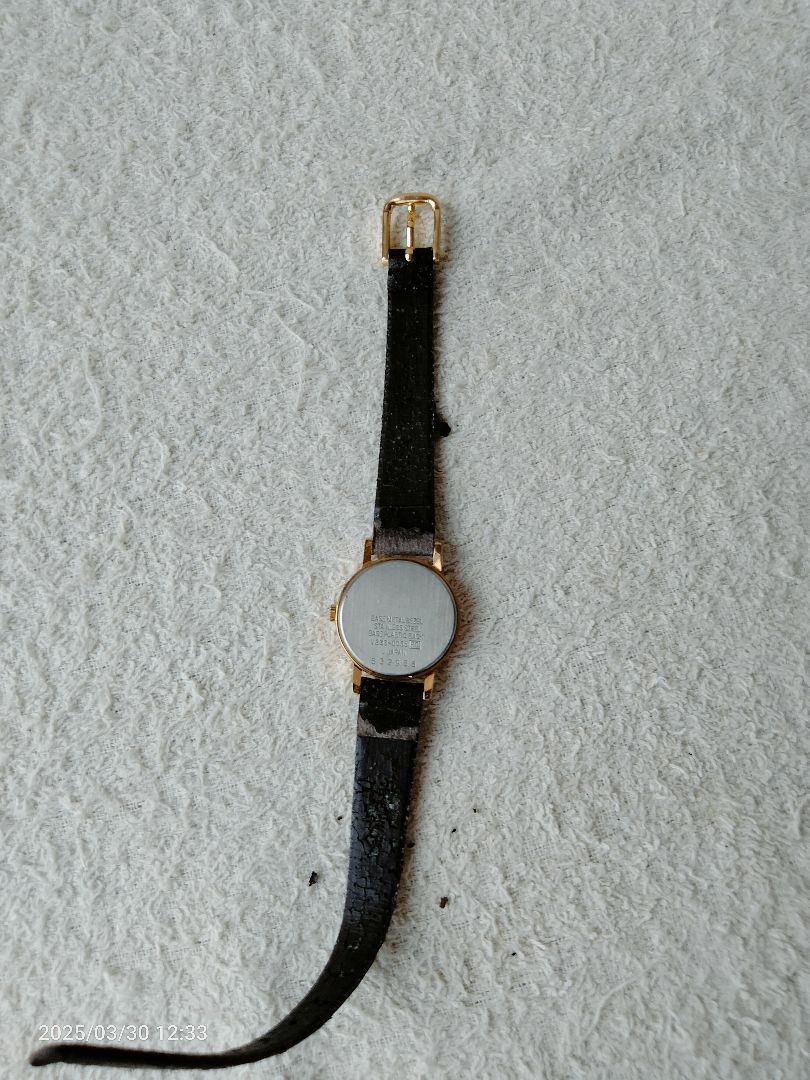 Seiko Alba V233-0035 Analog Quartz Women