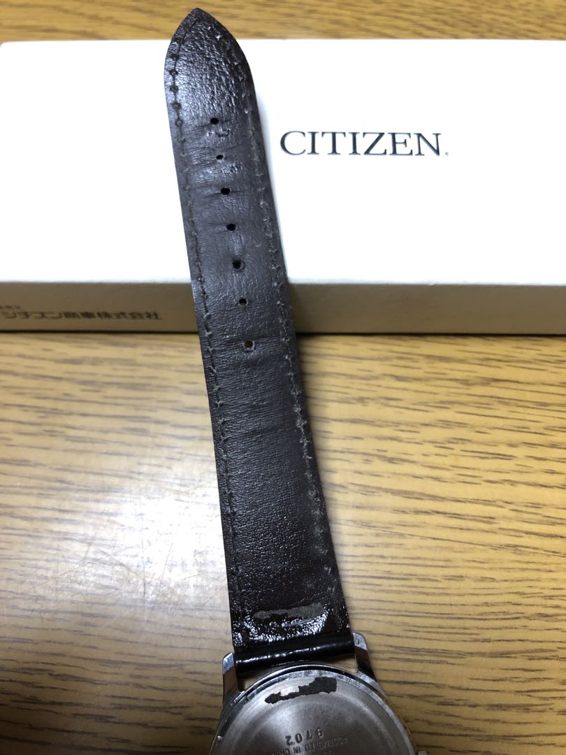 Citizen Analog Quartz Men
