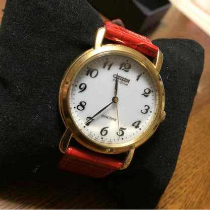 Citizen E030-K14919 Analog Quartz Women