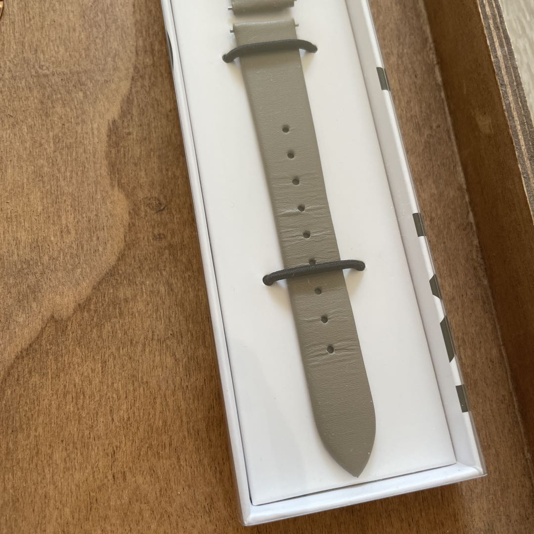 Skagen SKW3099 Analog Quartz Women