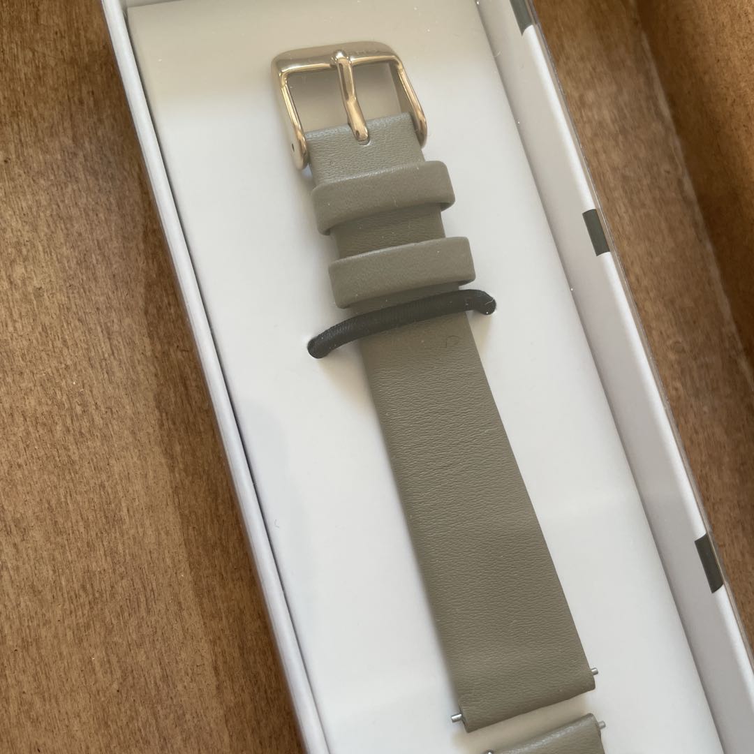Skagen SKW3099 Analog Quartz Women