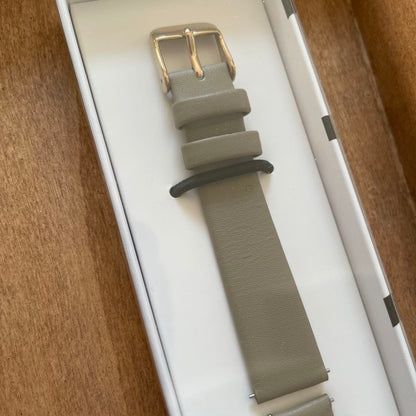 Skagen SKW3099 Analog Quartz Women