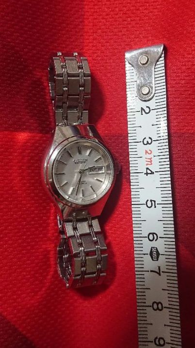 Citizen Analog Mechanical (Automatic) Women