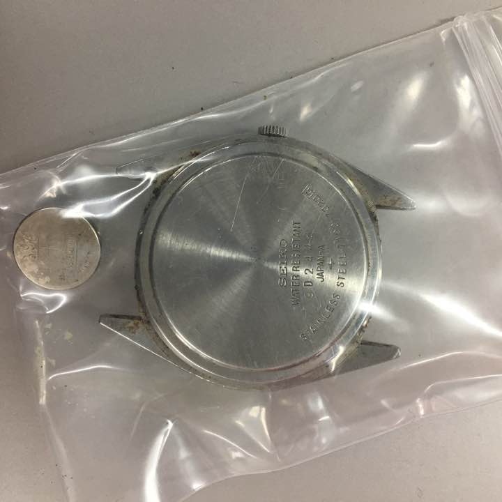 Seiko Analog Quartz Men