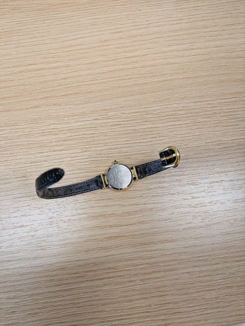 Seiko Alba V233-0700QZ Analog Quartz Women