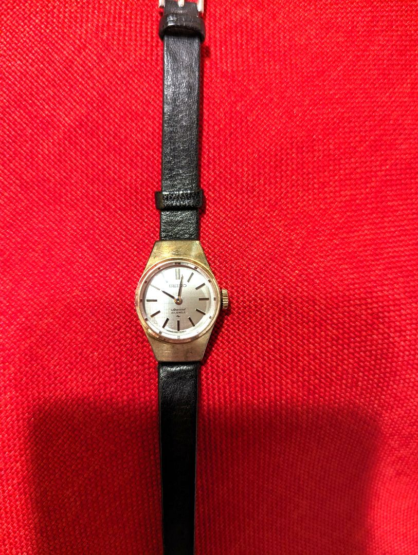 Seiko Analog Quartz Women