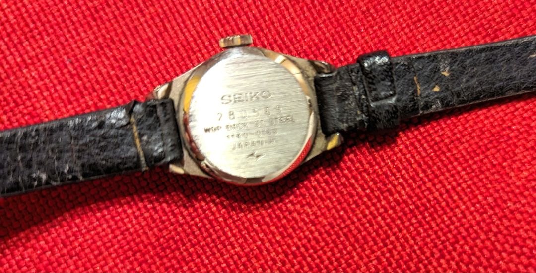 Seiko Analog Quartz Women